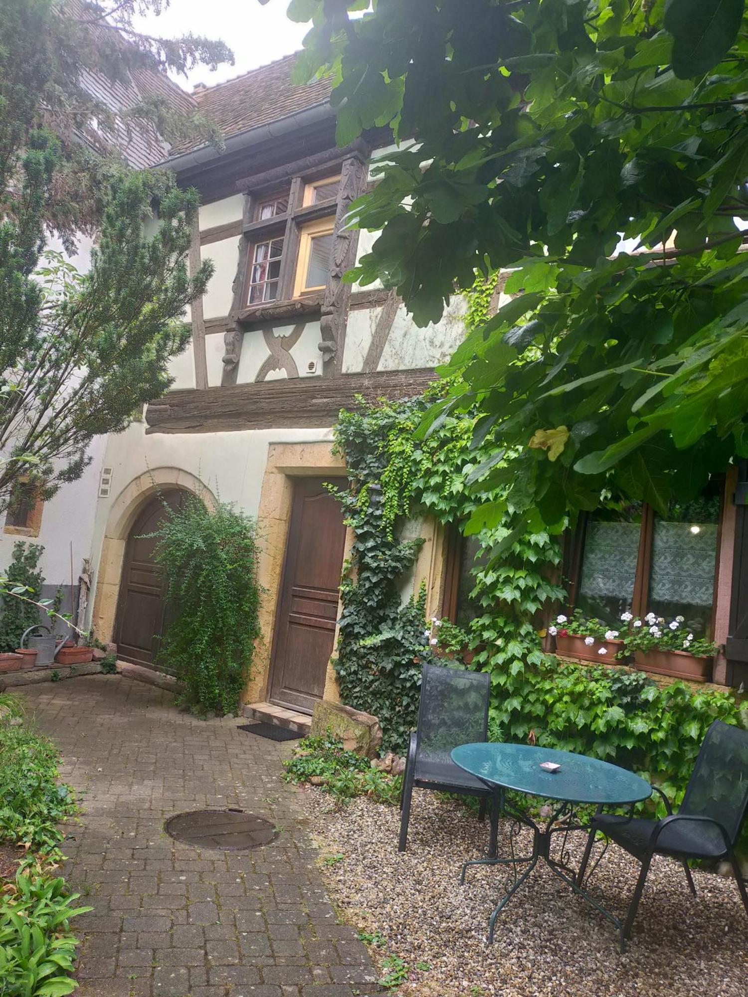 Apt. La Grenouillère De Turckheim Extérieur photo